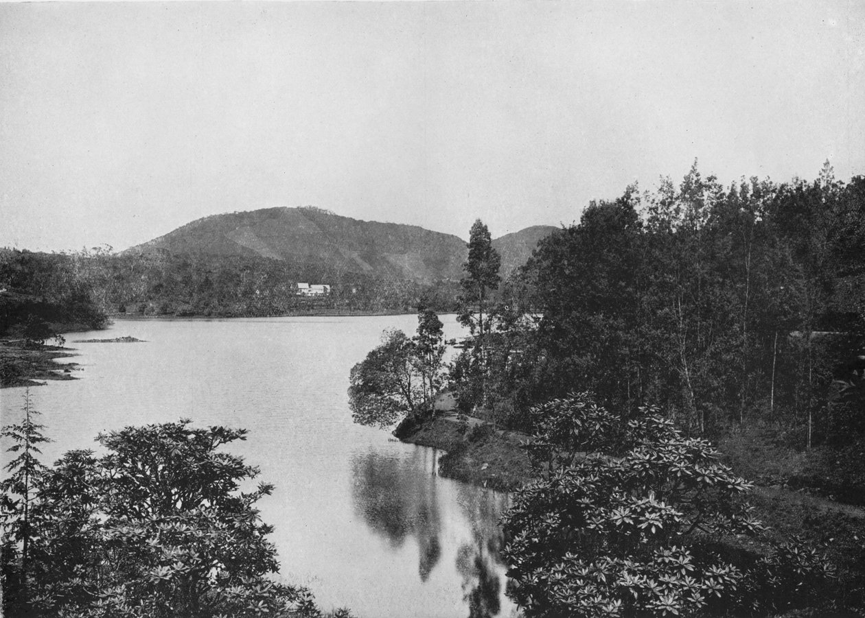 A Nuwara Eliya-tó sarka, 1890, 1910 alkotó: Alfred William Amandus Plate