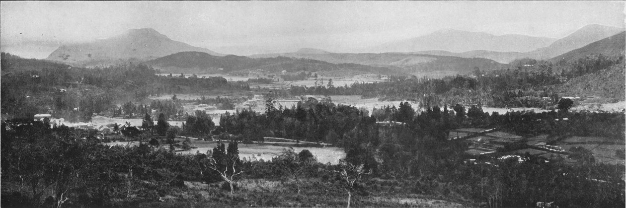 Nuwara Eliya általános képe, c1890, 1910 alkotó: Alfred William Amandus Plate