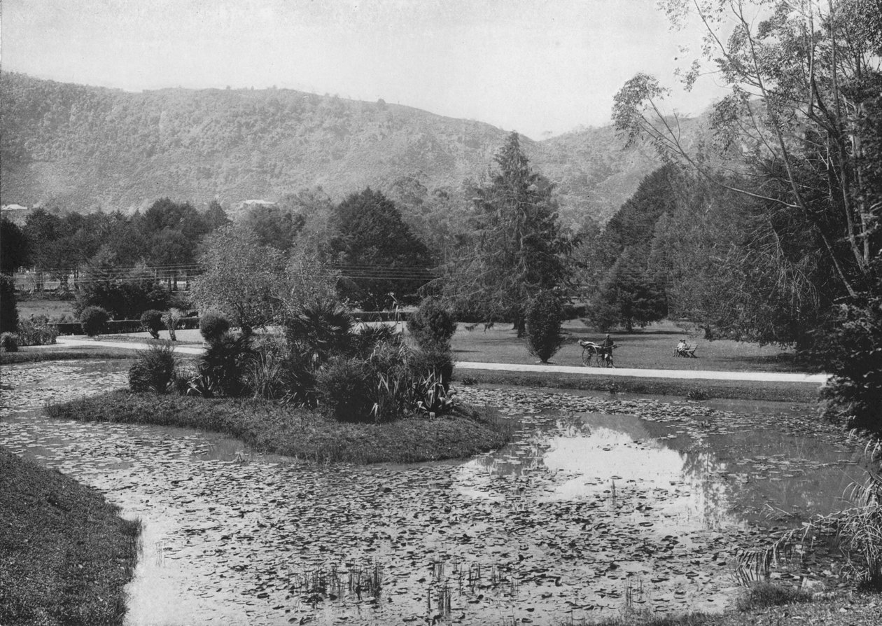 Hakgalla kertek a lótusz tóból, Nuwara Eliya, 1890, 1910 alkotó: Alfred William Amandus Plate