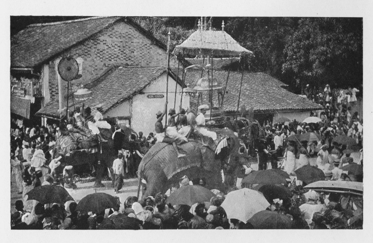 Kandy Perahera. - Elefántok körmenete a Kandyan Chiefs által, 1890, 1910 alkotó: Alfred William Amandus Plate