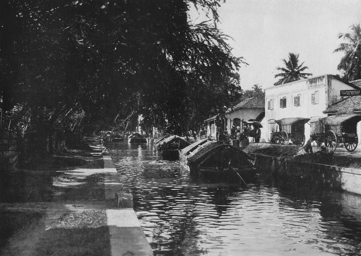 Negombo-csatorna, Padda hajók, c1890, 1910 alkotó: Alfred William Amandus Plate