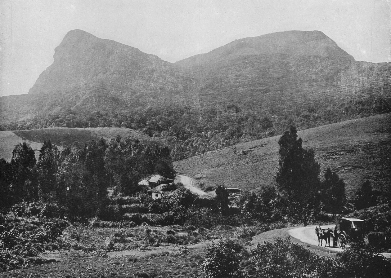 A Hakgalla felé vezető úton. Hakgalla szikla a távolban, c1890, 1910 alkotó: Alfred William Amandus Plate