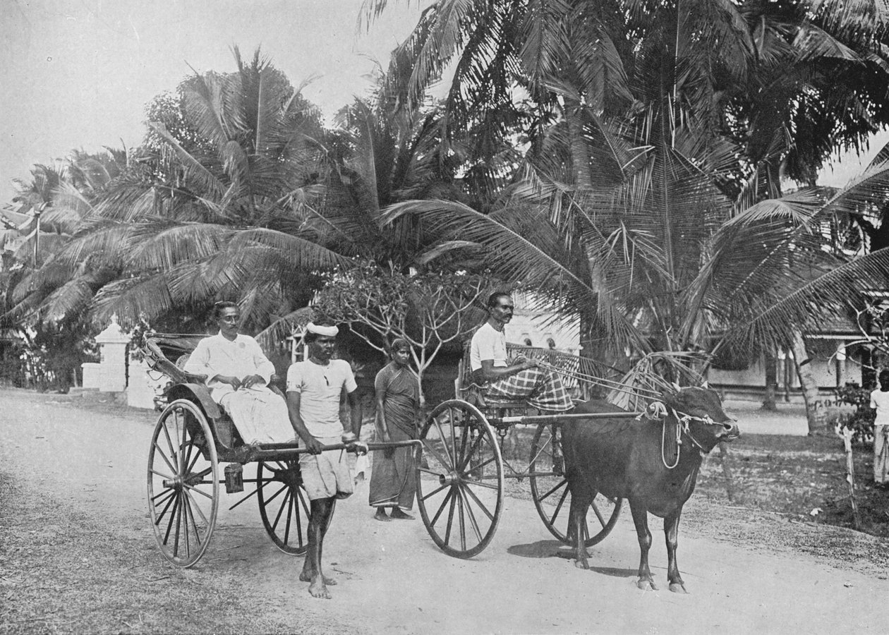 Rickshaw and Racing Hackery, c1890, 1910 alkotó: Alfred William Amandus Plate