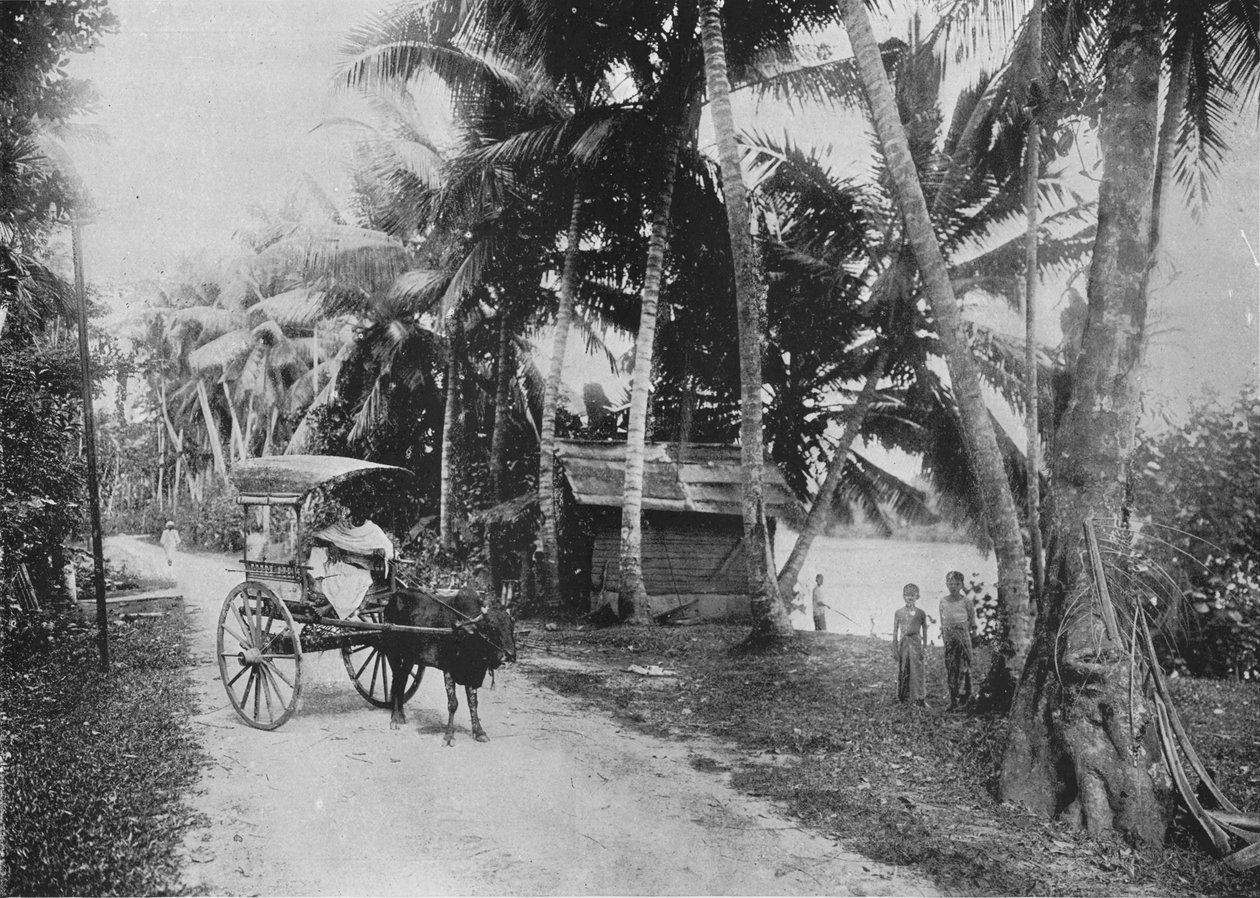 Út a Kelaniya folyó mellett, c1890, 1910 alkotó: Alfred William Amandus Plate