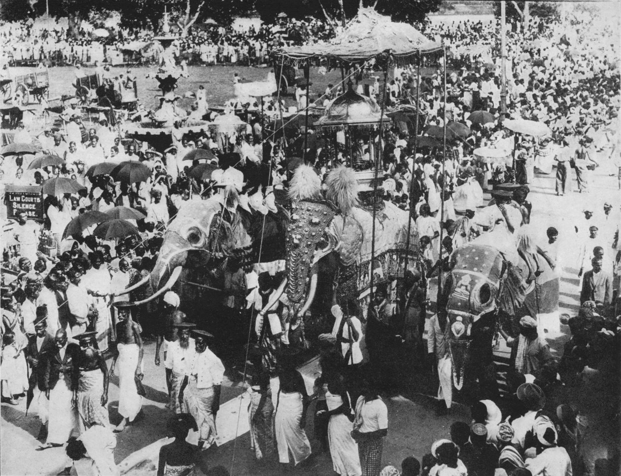 Szent elefánt a Perahera körmenetben, Kandy, Ceylon, 1890, 1910 alkotó: Alfred William Amandus Plate