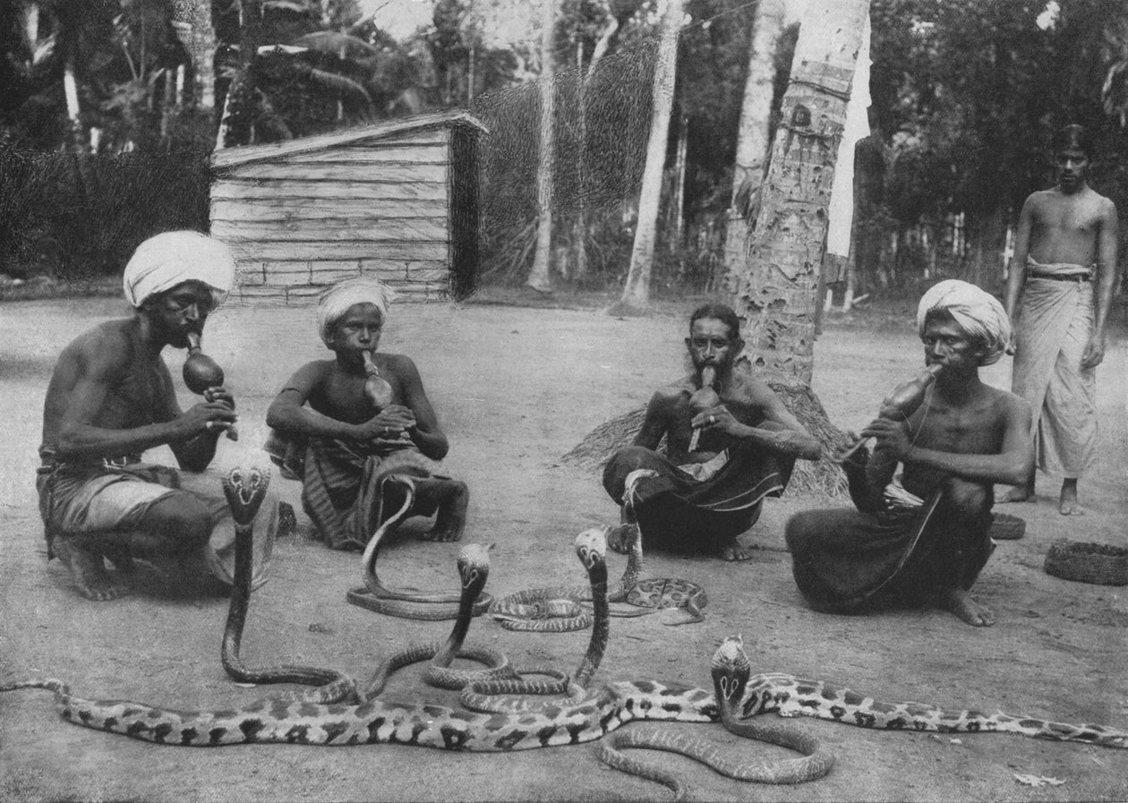 Snake Charmers, c1890, 1910 alkotó: Alfred William Amandus Plate