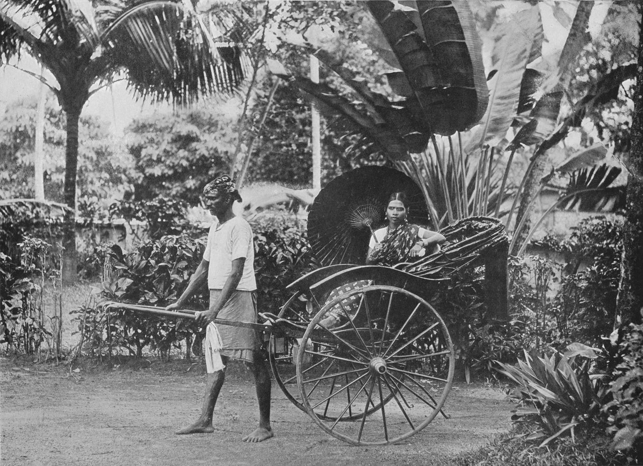 Tamil hölgy riksában, 1890, 1910 alkotó: Alfred William Amandus Plate