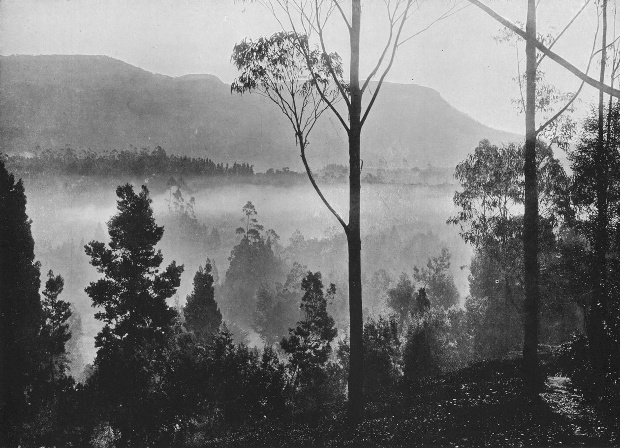 A kora reggeli köd felszáll Nuwara Eliyában, 1890, 1910 alkotó: Alfred William Amandus Plate