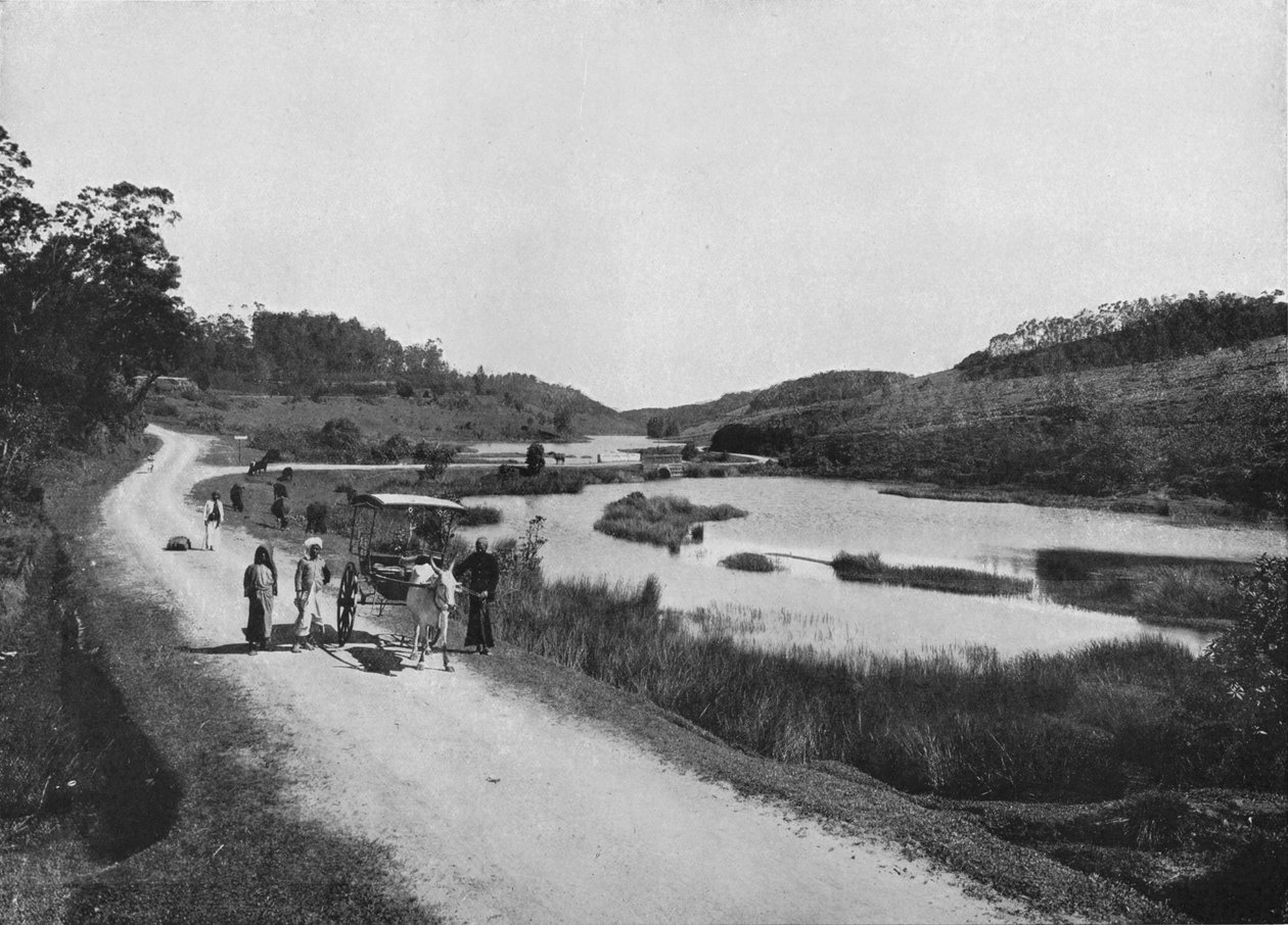 The Moon Plains, Nuwara Eliya, 1890, 1910 alkotó: Alfred William Amandus Plate