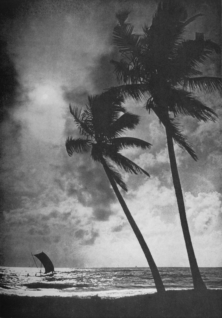 The Palm Fringed Shore at Sunset, 1890, 1910 alkotó: Alfred William Amandus Plate
