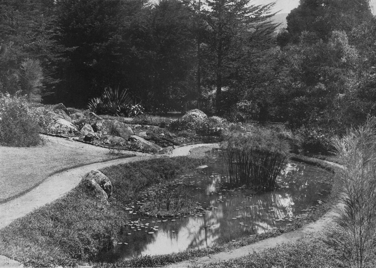 The Rock Garden, Hakgalla Gardens, Nuwara Eliya, 1890, 1910 alkotó: Alfred William Amandus Plate