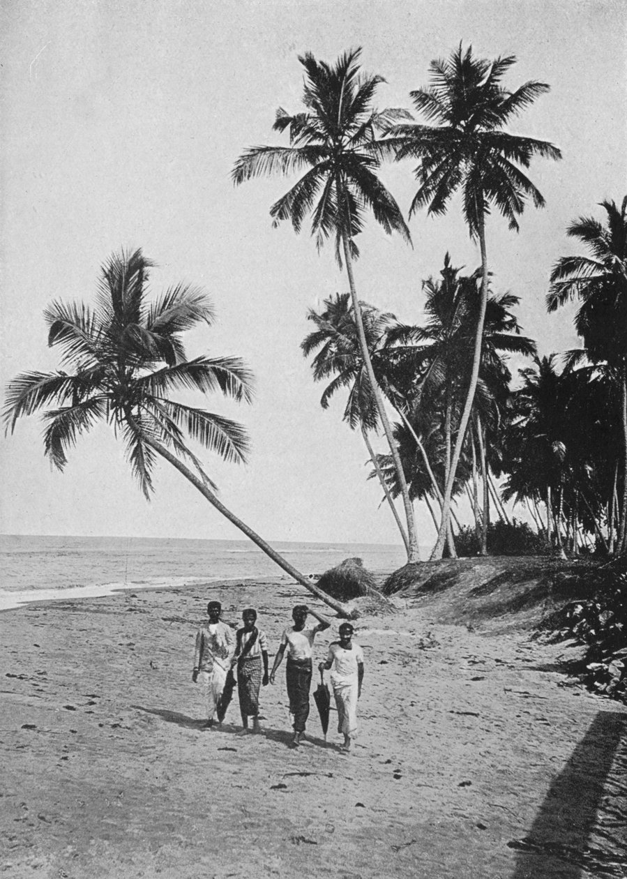 Az Ezüst-tenger oldala, 1890, 1910 alkotó: Alfred William Amandus Plate