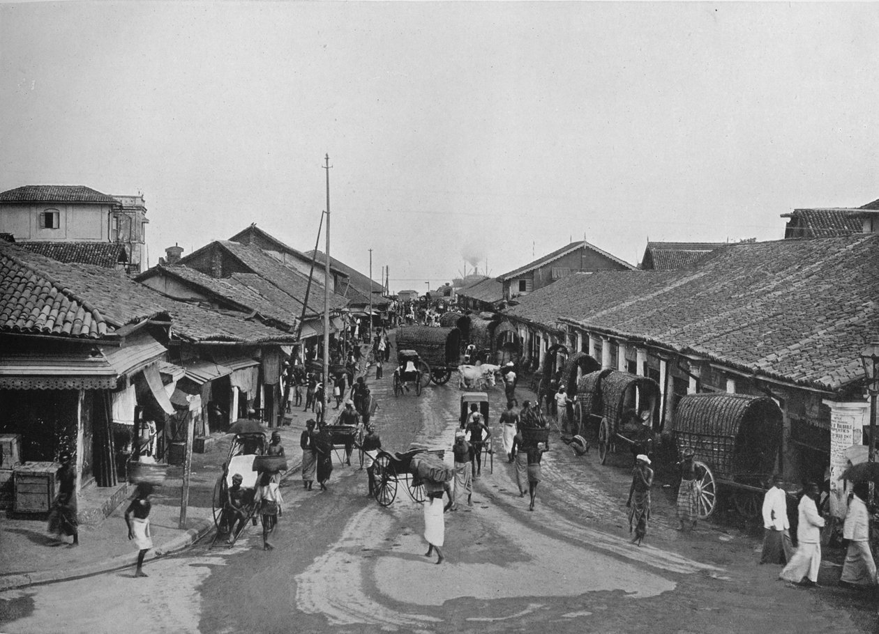 Tipikus utcai jelenet a Native Quartersben, Colombo, 1890, 1910 alkotó: Alfred William Amandus Plate
