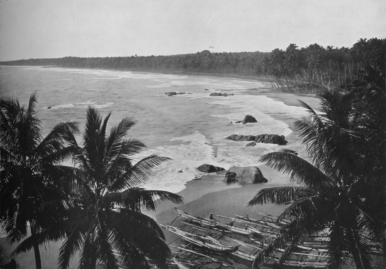 Kilátás a Mount Lavinia felől, kókuszpálmák láthatók a tengerparton, c1890, 1910 alkotó: Alfred William Amandus Plate