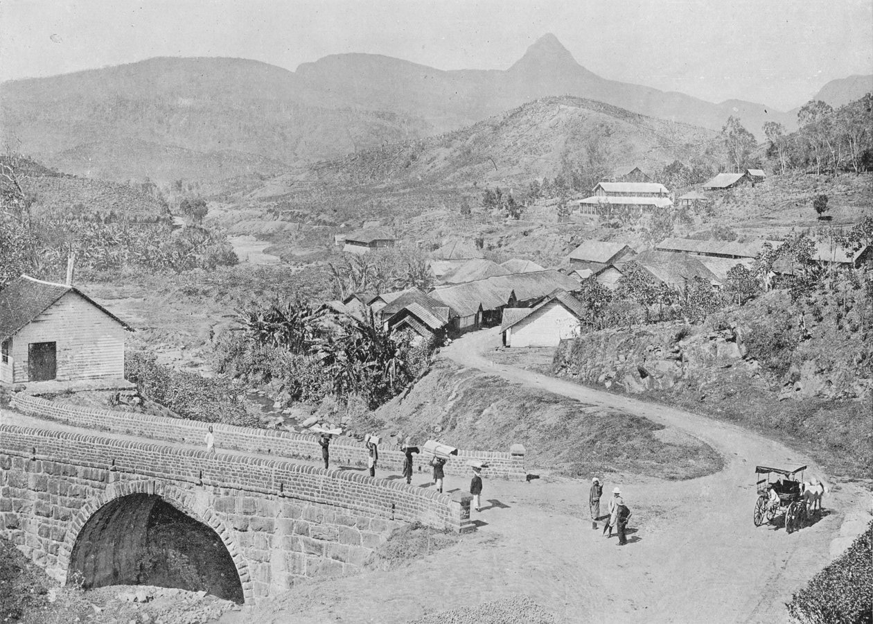 Maskeliya képe, Adams Peak, c1890, 1910 alkotó: Alfred William Amandus Plate