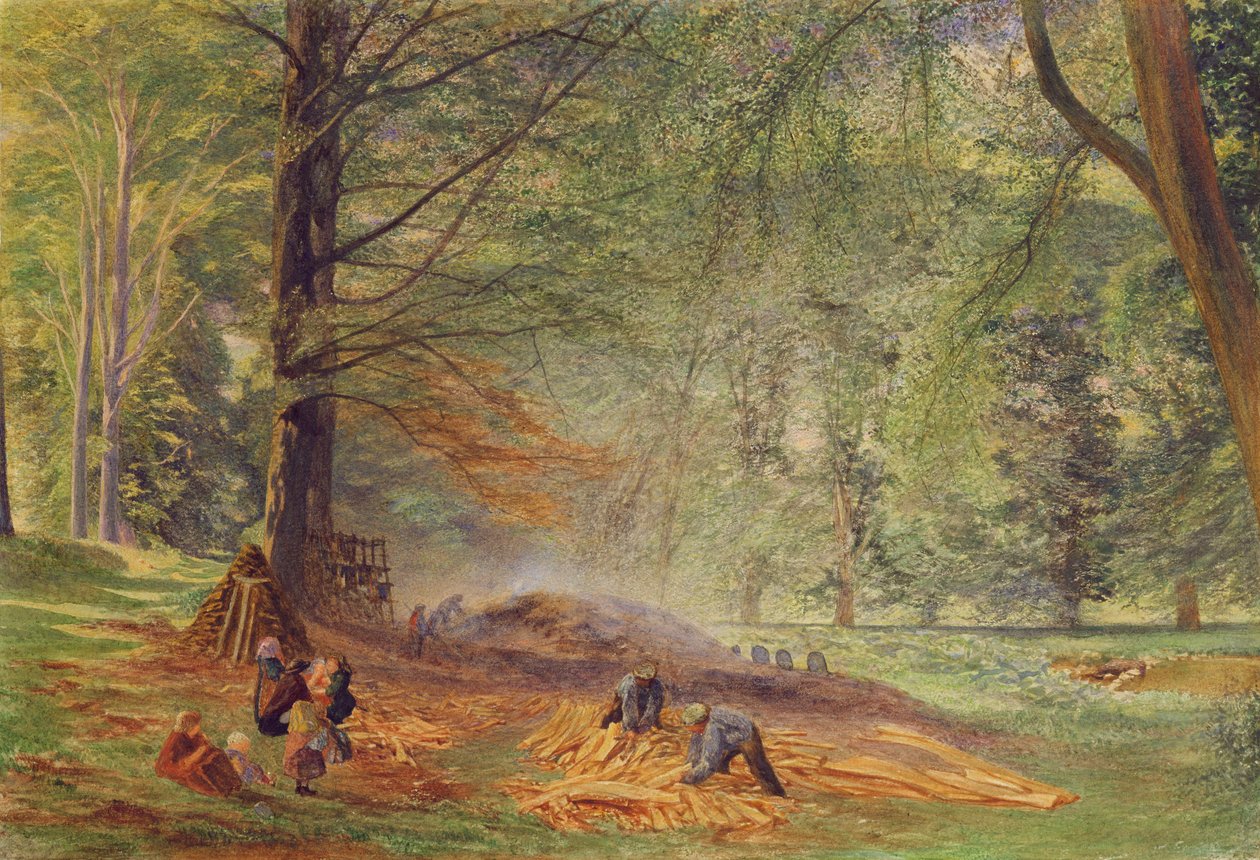 Faszénégetők a Rokeby Parkban (akvarell papíron) alkotó: Alfred William Hunt