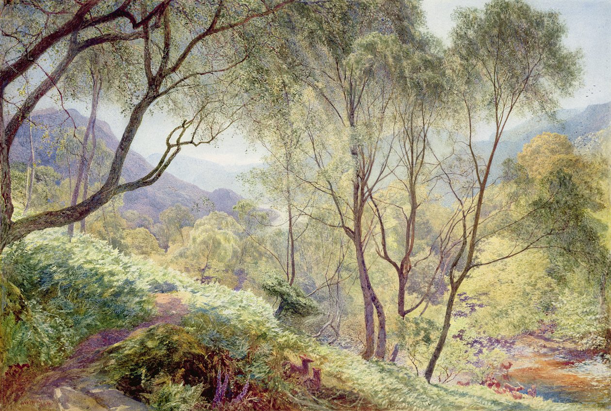 Ullswater a Gowbarrow Parkból, 1864 alkotó: Alfred William Hunt
