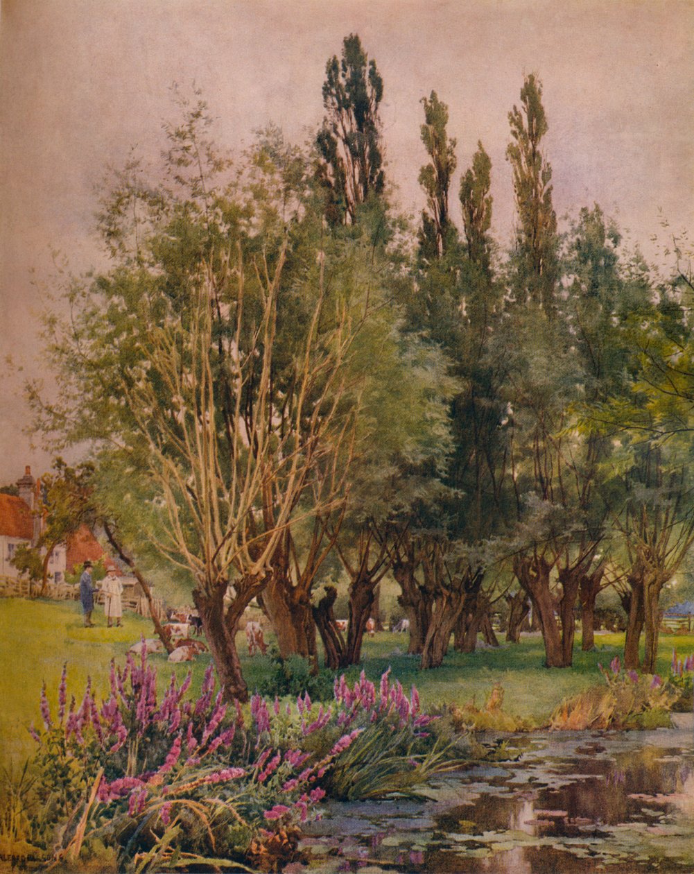 Purple Loosestrife, c1891 alkotó: Alfred William Parsons