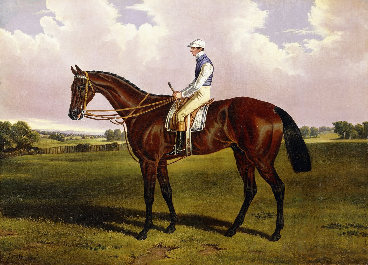 Bloomsbury, Gesztenye versenyló Sam Templemannel felfelé, tájban, alkotó: Alfred de Prades