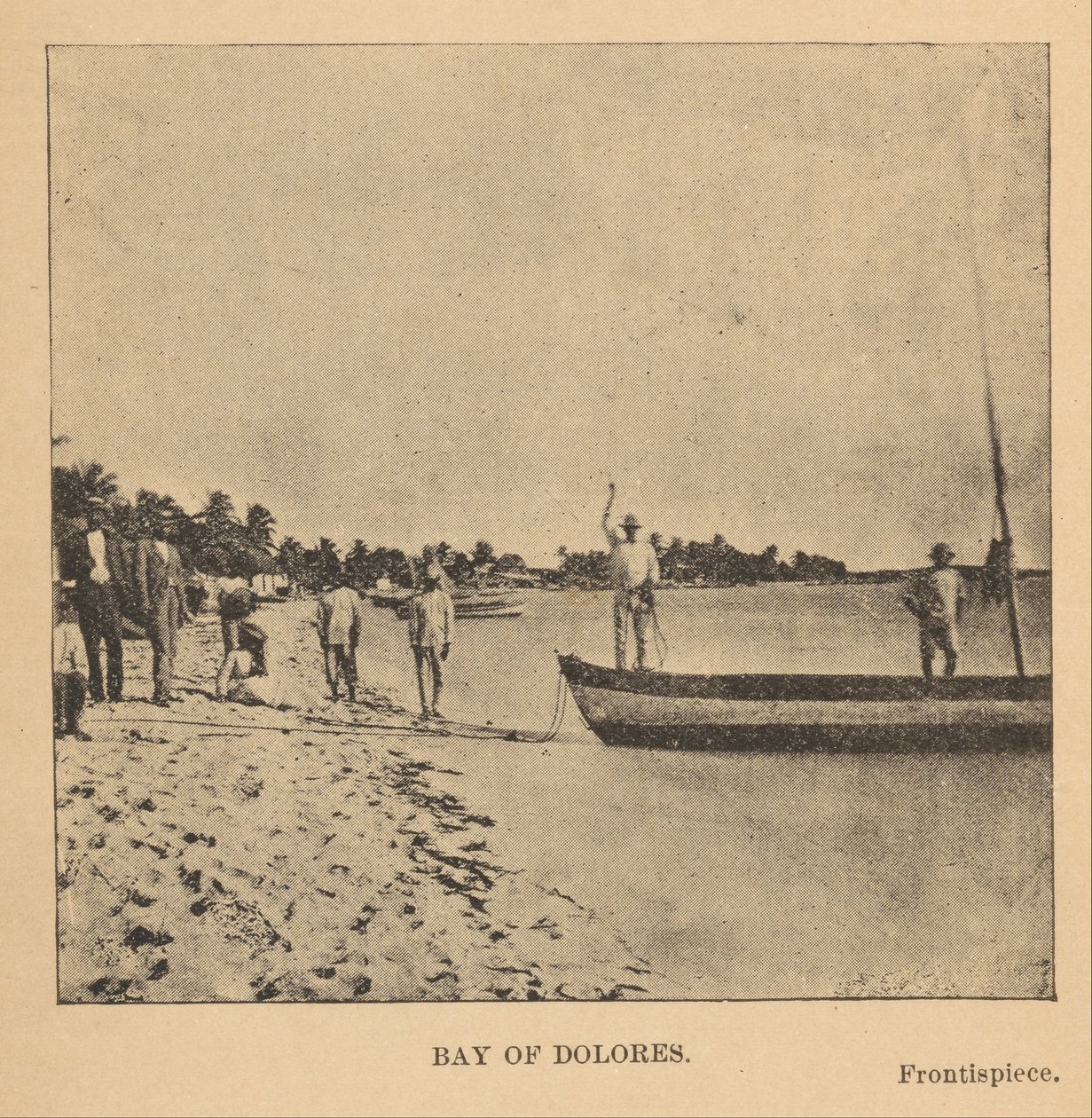 Dolores -öböl alkotó: Alice D. Le Plongeon