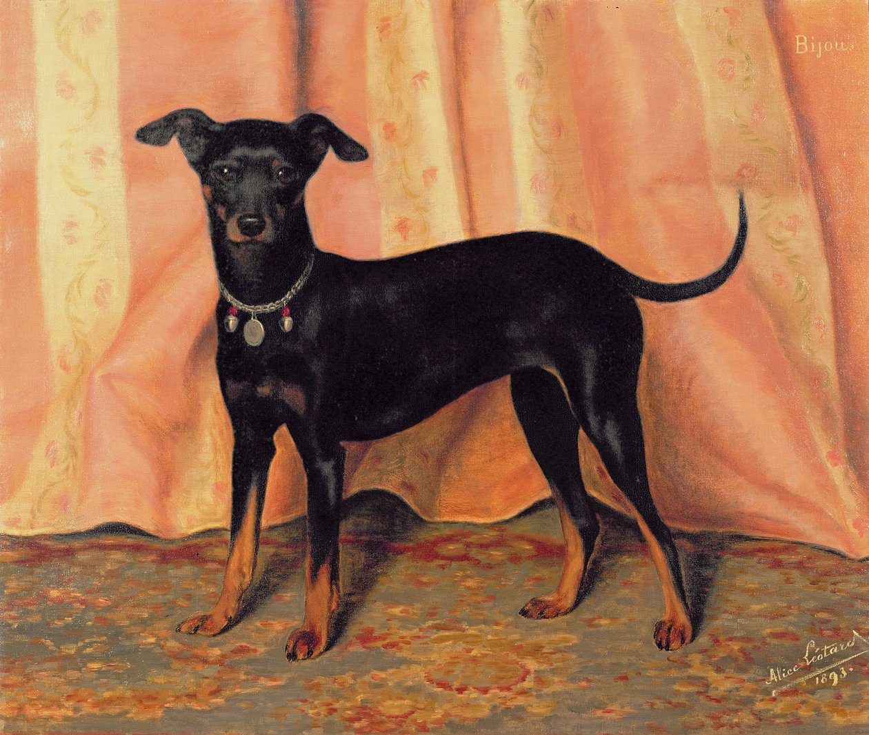 Bijou, bichon terrier tanulmánya, 1893 alkotó: Alice Leotard