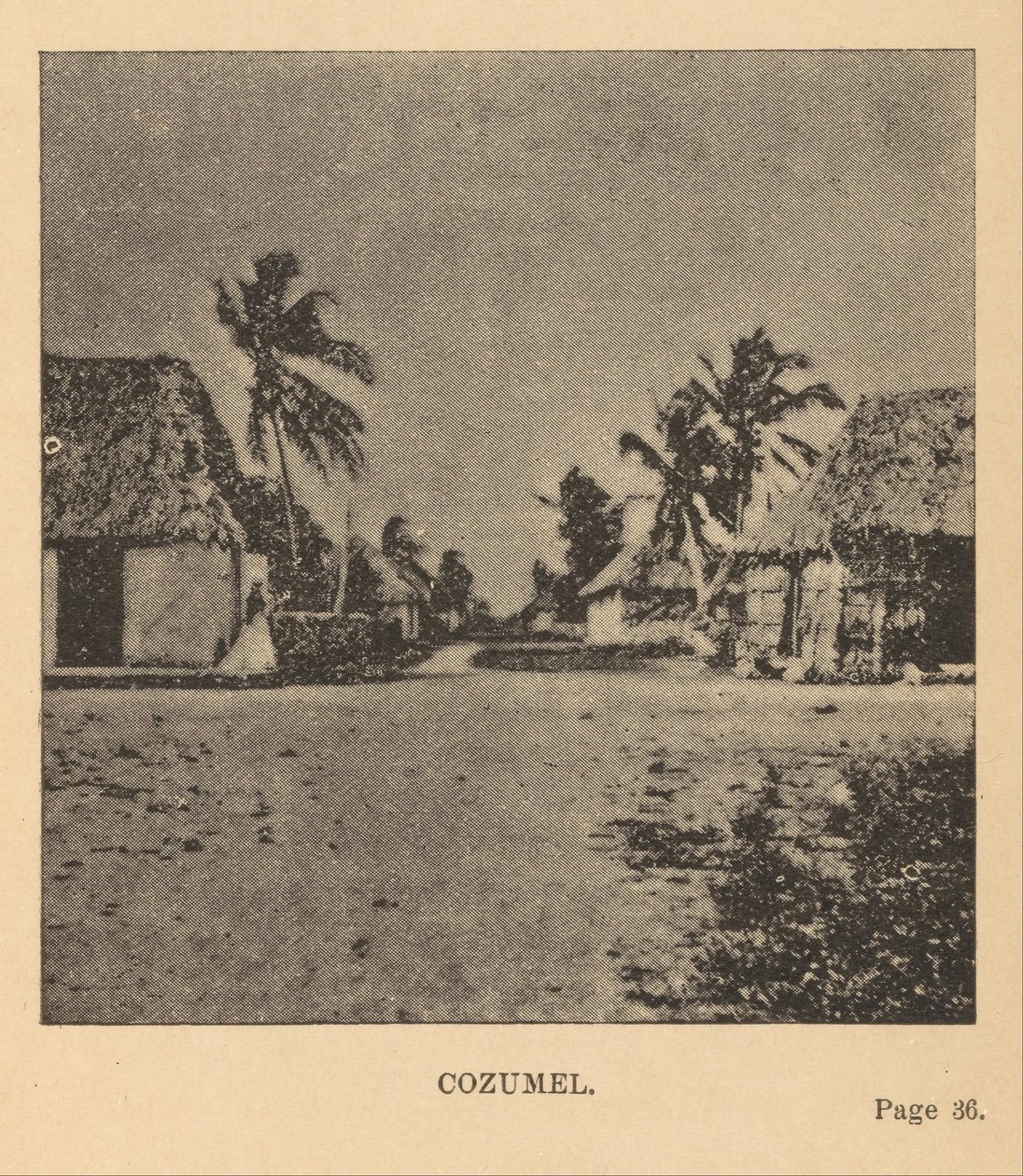 Cozumel alkotó: Alice Dixon Le Plongeon