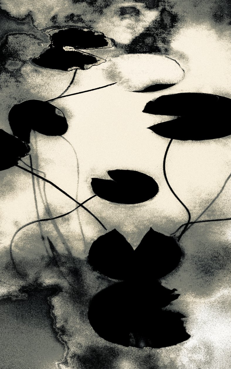Gold Dust Shadows, a Spring, 2020 sorozatból (kézzel átfestett fotó) alkotó: Alice Gur Arie