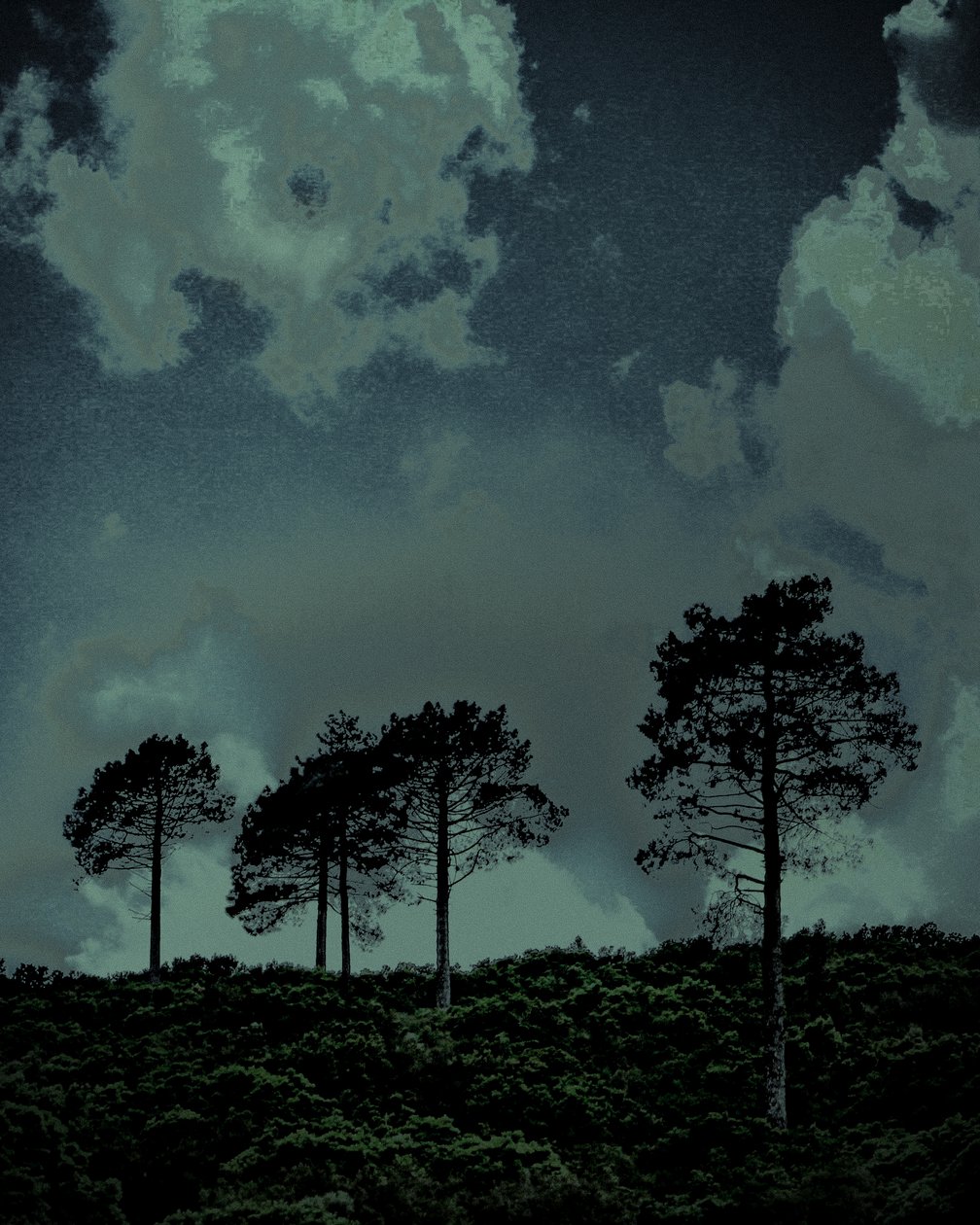 Last Light, 2018 (kézzel átfestett fotó) alkotó: Alice Gur-Arie