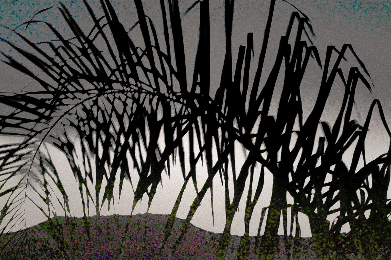 Looking Towards Tiberias, 2016 (kézzel átfestett fotó) alkotó: Alice Gur-Arie