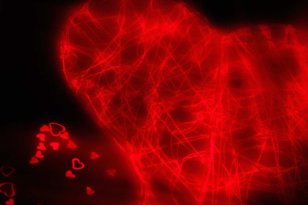 Tangled Heart, a Hearts sorozatból, 2016 (fotó) alkotó: Alice Gur-Arie