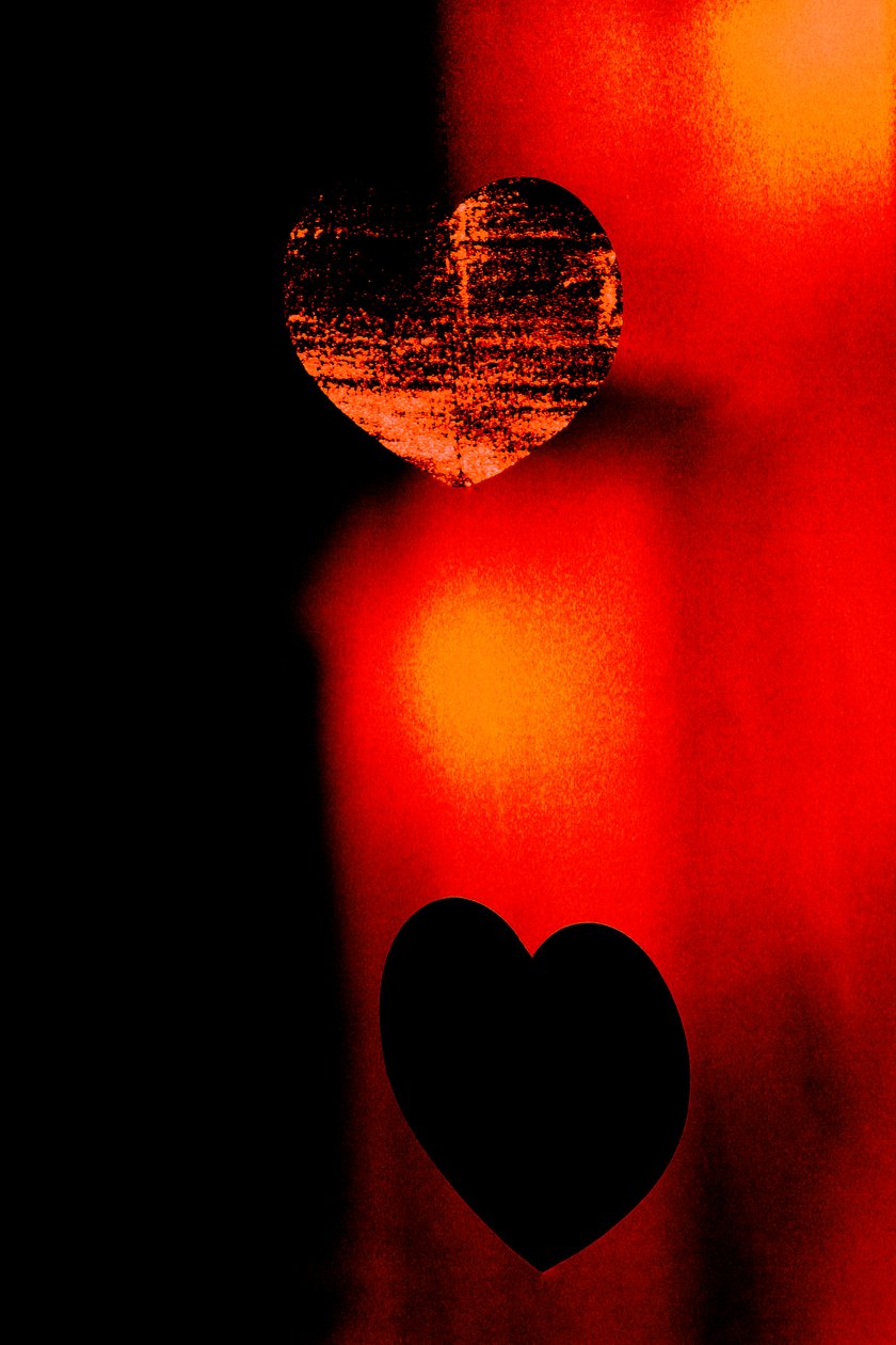 Two Hearts, a Hearts sorozatból, 2016 (fotó) alkotó: Alice Gur Arie
