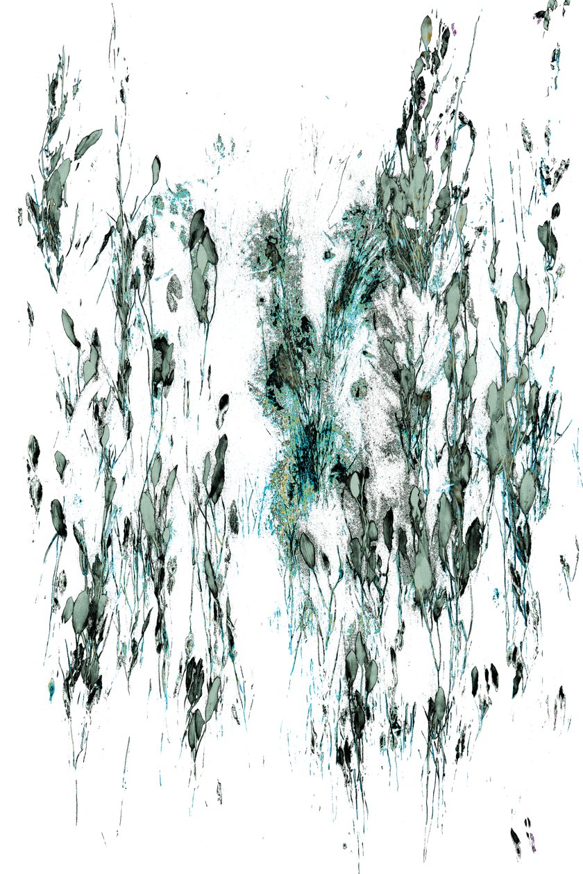 Whispers of the Stream, 2017 (kézzel átfestett fotó) alkotó: Alice Gur Arie