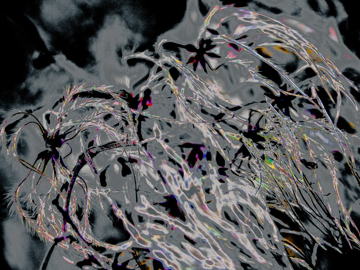 Countryfile, 2015 (fénykép) alkotó: Alice Gur Arie