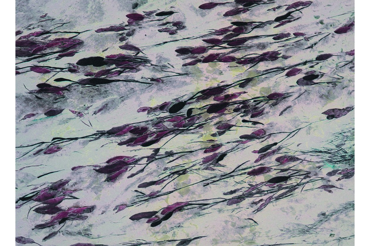 Royal Parade, 2017 (kézzel átfestett fénykép) alkotó: Alice Gur Arie