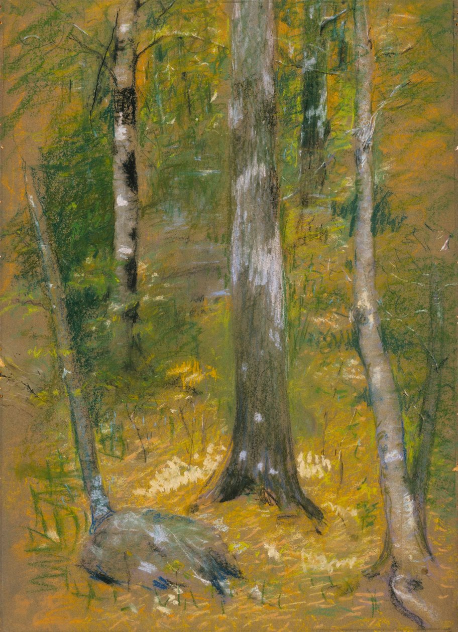 Onteora alkotó: Alice Pike Barney