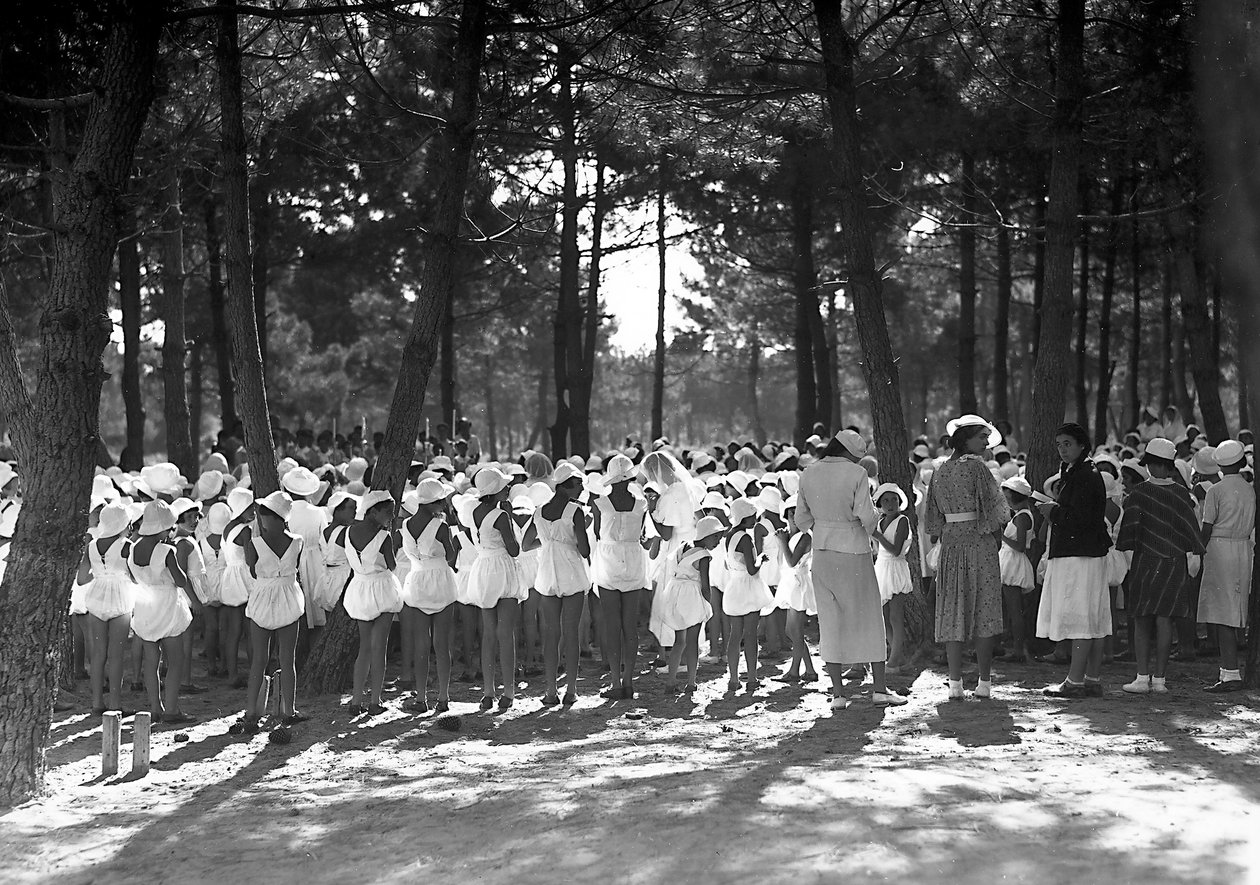 Villa Rosa Maltoni Mussolini: diáklányok gyülekeztek a fenyvesben (f/w fotó) alkotó: Fratelli Alinari