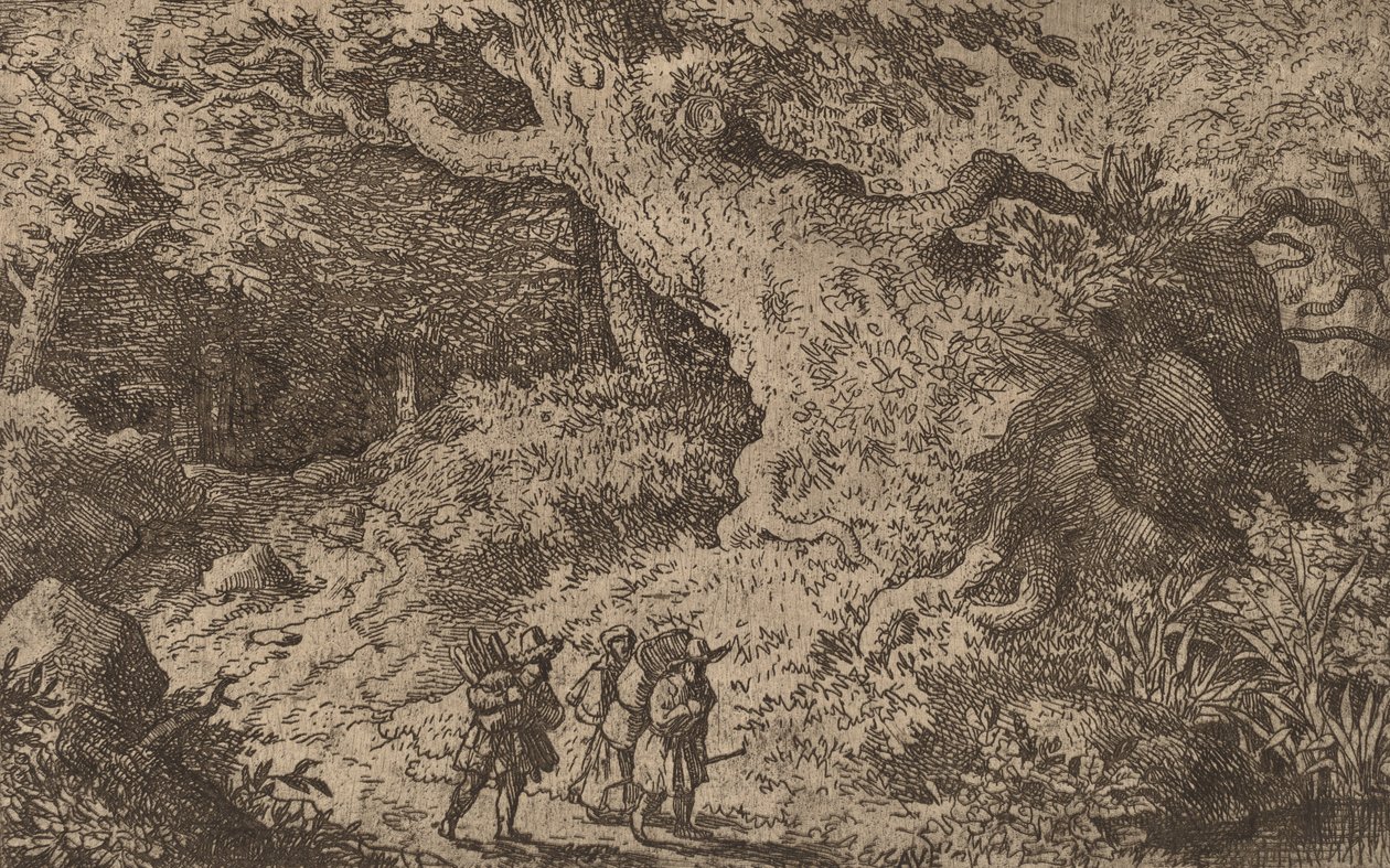 Egy vastag erdő, valószínűleg c. 16451656. alkotó: Allart van Everdingen
