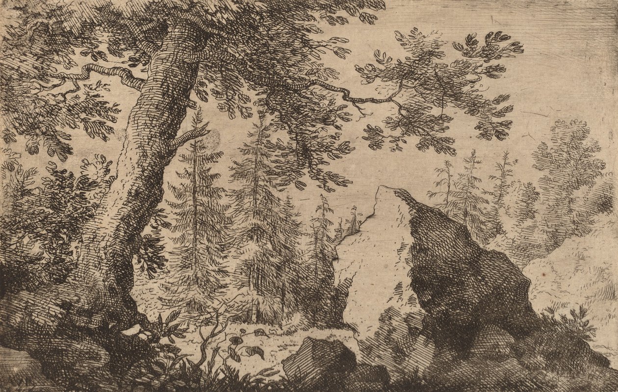 Boulder in the Woods, valószínűleg c. 16451656. alkotó: Allart van Everdingen
