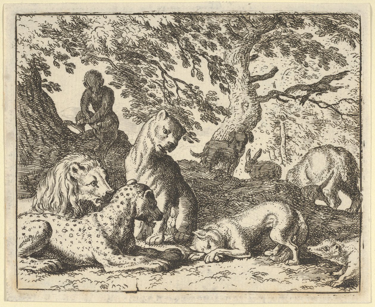 Renard hamisan azzal vádolja apját, hogy összeesküdött az oroszlán ellen, 1650-75. alkotó: Allart van Everdingen
