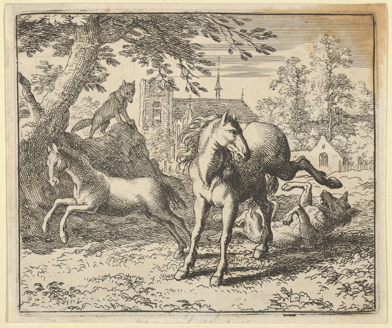Renard a borzzal az udvarba megy, hogy lecsillapítsa az oroszlán haragját, 1650-75. alkotó: Allart van Everdingen