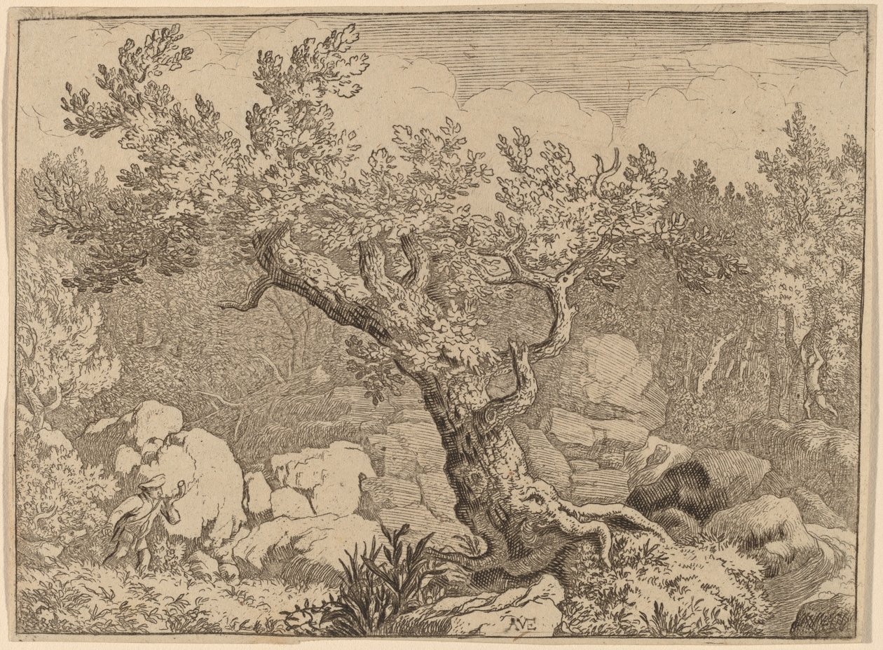 Sportoló egy nagy fa közelében, valószínűleg c. 16451656. alkotó: Allart van Everdingen
