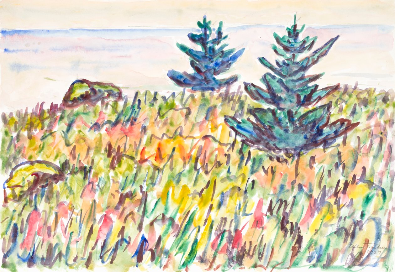 Akvarell sz. 35, Mező két fenyővel, 1937. alkotó: Allen Tucker