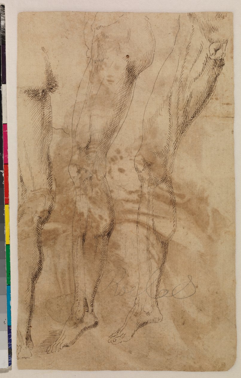 Három tanulmány egy férfi lábról (verso) 1537 körül (toll és barna tinta fektetett papíron) [lásd: 5948317] alkotó: Alonso (workshop of) Berruguete