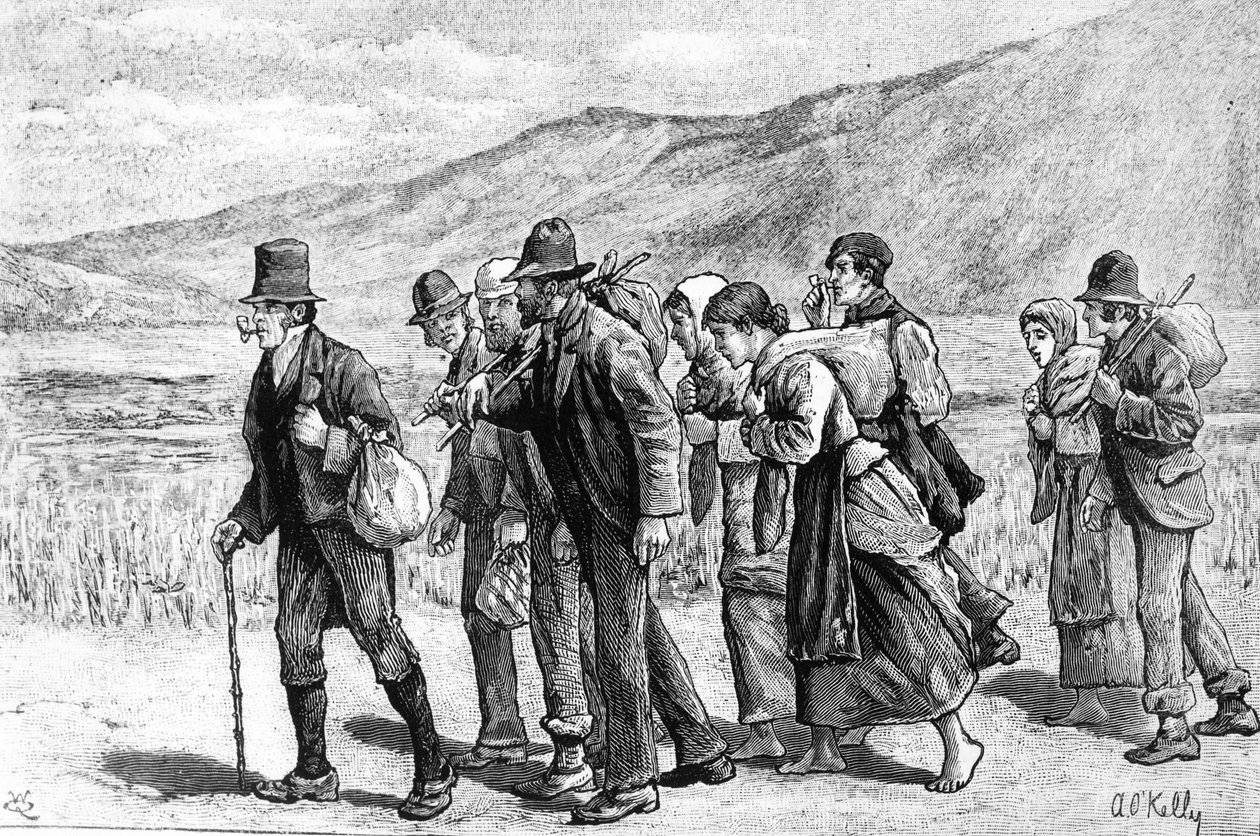 Ír aratógépek úton Angliába, 1881 alkotó: Aloysius O
