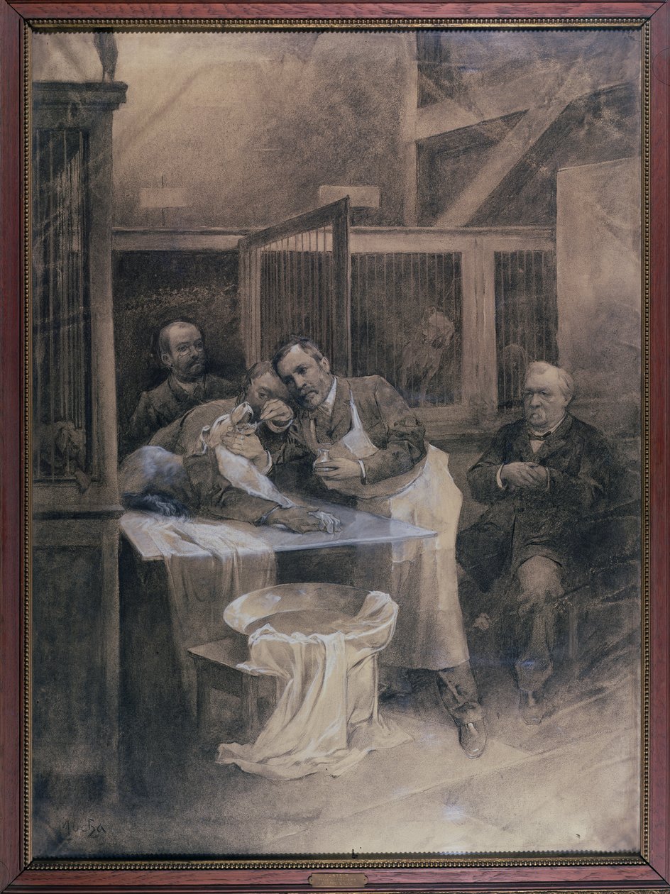 Louis Pasteur (1822-95) habmintát vett egy veszett kutyától (szén) alkotó: Alphonse Mucha