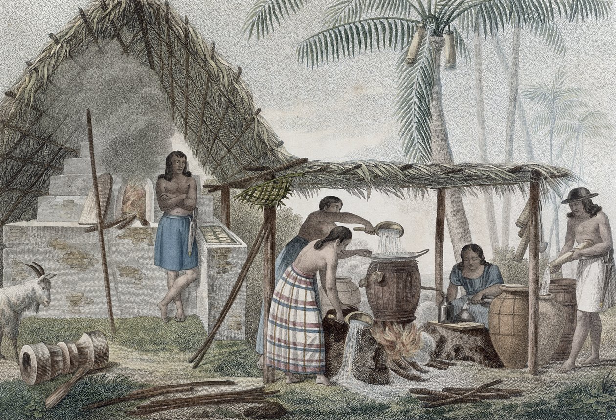 Kilátás a Guam-szigeti szeszfőzdére, a „Voyage Autour du Monde sur les Corvettes de L