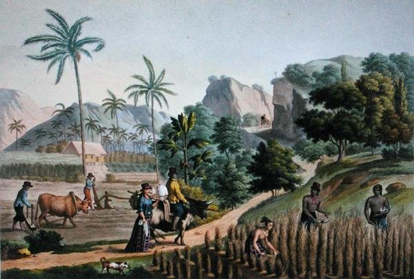 Guam szigete: Mezőgazdasági munkák, a „Voyage Autour du Monde sur les Corvettes de L