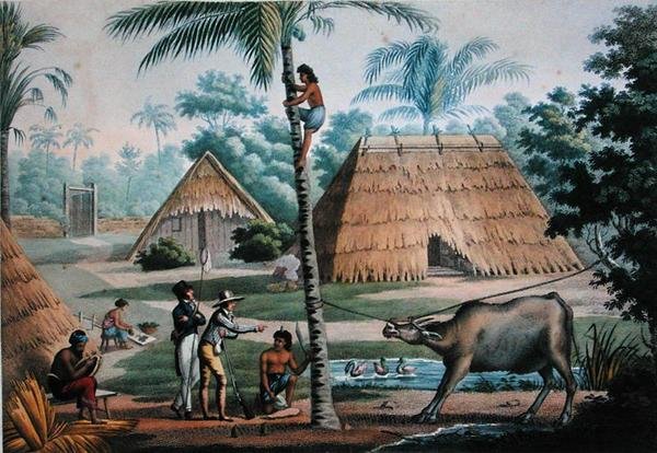 Kilátás a timori Coupang környékére a „Voyage Autour du Monde sur les Corvettes de L