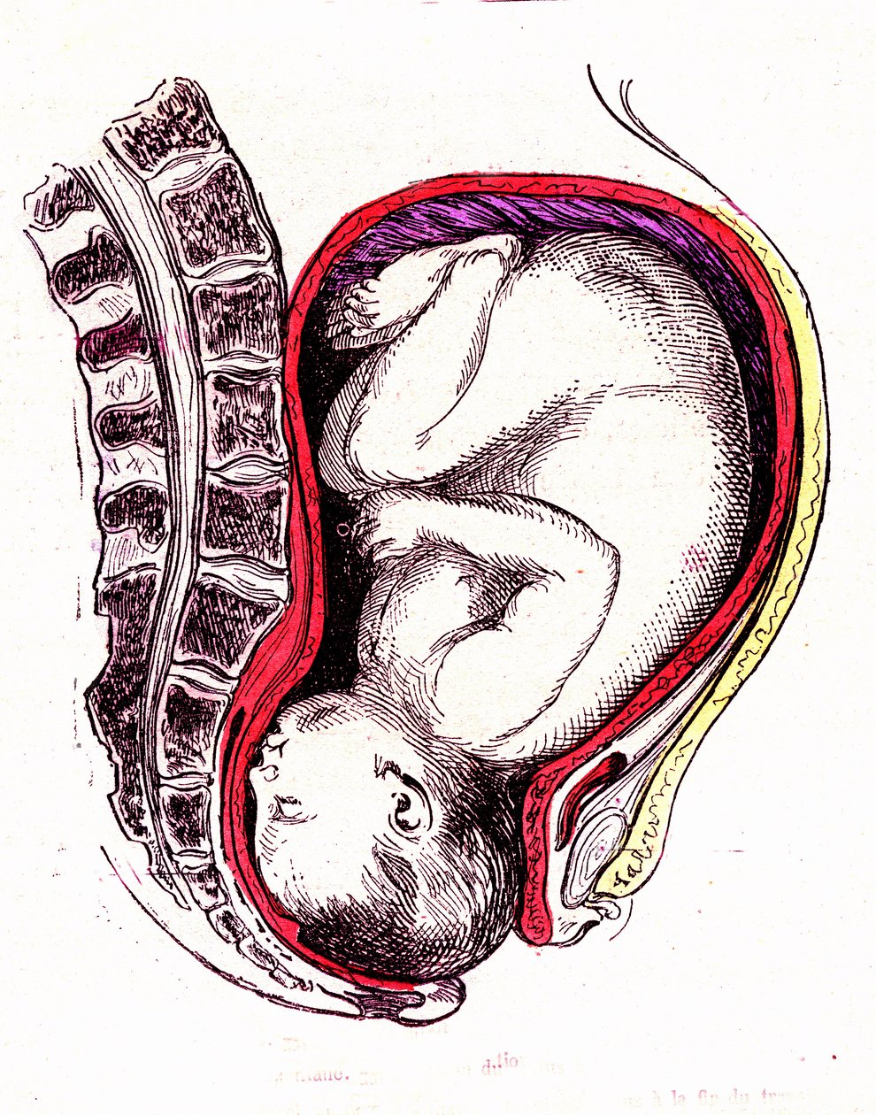 Natural or spontaneous childbirth alkotó: Alphonse Demarle
