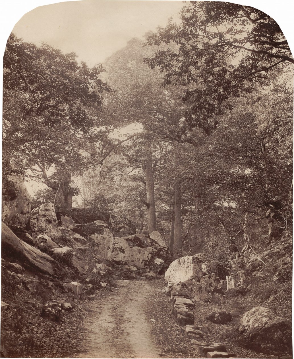Fontainebleau,1860-as évek (fotó) alkotó: Alphonse Francois Jeanrenaud